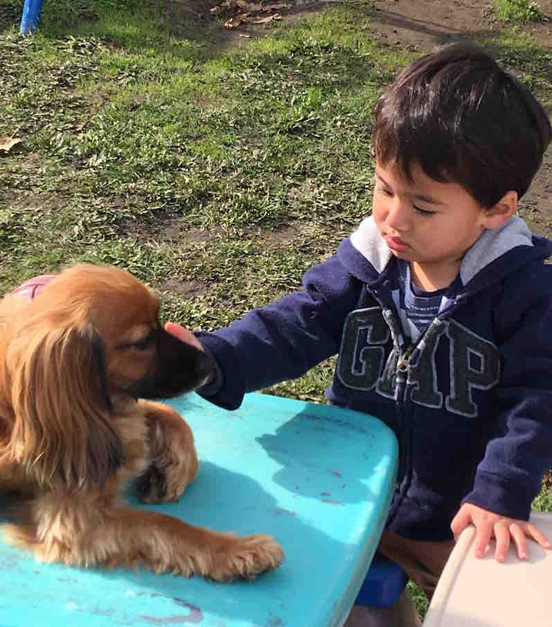 With our dog friend