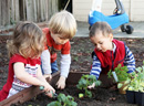 Taking care of our garden