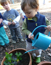 Watering Plants