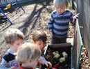 Our Worm Bin